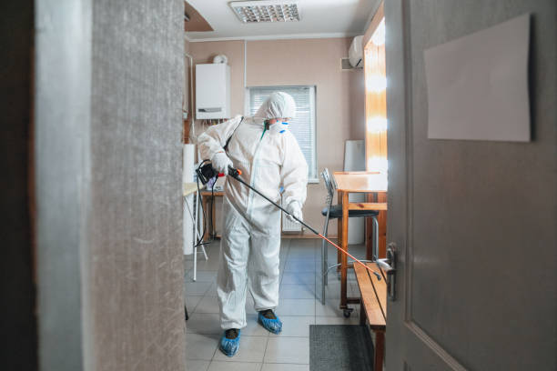 Best Asbestos and Lead Testing During Mold Inspection  in Fosston, MN