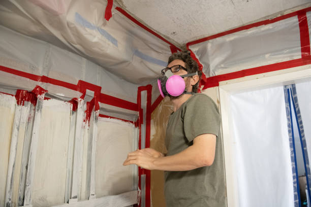 Best Mold Odor Removal Services  in Fosston, MN