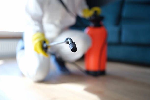 Best Mold Removal for HVAC Installations  in Fosston, MN